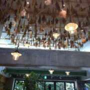 ヒメ日記 2025/11/05 12:18 投稿 りえ 奥様はエンジェル　町田店