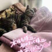 ヒメ日記 2025/02/22 22:04 投稿 原 愛妻倶楽部 宇都宮店