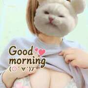 ヒメ日記 2025/03/24 10:30 投稿 原 愛妻倶楽部 宇都宮店