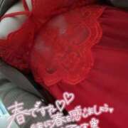 ヒメ日記 2025/03/31 10:50 投稿 原 愛妻倶楽部 宇都宮店