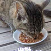 ヒメ日記 2025/06/19 20:09 投稿 原 愛妻倶楽部 宇都宮店