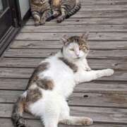 ヒメ日記 2025/07/26 11:42 投稿 原 愛妻倶楽部 宇都宮店