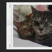 ヒメ日記 2025/08/11 08:06 投稿 原 愛妻倶楽部 宇都宮店