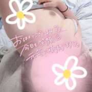 ヒメ日記 2025/09/16 10:28 投稿 原 愛妻倶楽部 宇都宮店