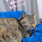 ヒメ日記 2026/02/08 19:51 投稿 原 愛妻倶楽部 宇都宮店