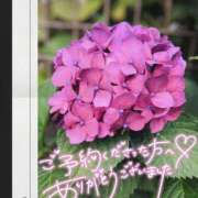 ヒメ日記 2026/06/12 10:26 投稿 原 愛妻倶楽部 宇都宮店