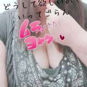 ヒメ日記 2025/02/18 18:57 投稿 るな ぷるるん小町 京橋店