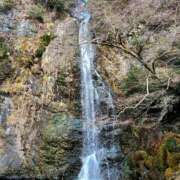 ヒメ日記 2025/02/25 20:34 投稿 るな ぷるるん小町 京橋店