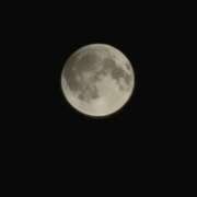 るな 今夜はスーパームーン🐰🌕 ぷるるん小町 京橋店