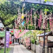 ヒメ日記 2025/12/19 19:23 投稿 るな ぷるるん小町 京橋店