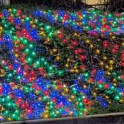 ヒメ日記 2025/12/20 12:16 投稿 るな ぷるるん小町 京橋店