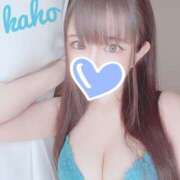 ヒメ日記 2024/12/16 15:35 投稿 カホ ギャルズネットワーク 姫路