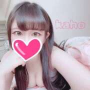 ヒメ日記 2024/12/17 00:00 投稿 カホ ギャルズネットワーク 姫路