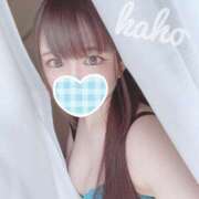 ヒメ日記 2025/04/28 11:32 投稿 カホ ギャルズネットワーク 姫路