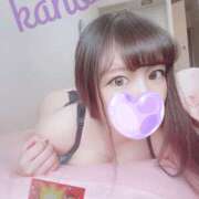 ヒメ日記 2025/01/25 08:45 投稿 かほ プロフィール加古川