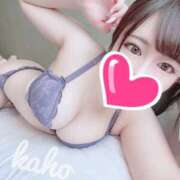 ヒメ日記 2025/03/30 11:35 投稿 かほ プロフィール加古川