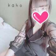 ヒメ日記 2025/04/04 20:30 投稿 かほ プロフィール加古川