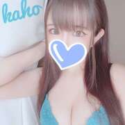 ヒメ日記 2025/04/16 12:38 投稿 かほ プロフィール加古川