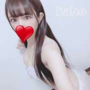 ヒメ日記 2025/03/20 03:11 投稿 かほ プロフィール姫路