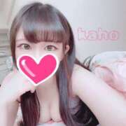 ヒメ日記 2025/04/21 11:32 投稿 かほ プロフィール姫路