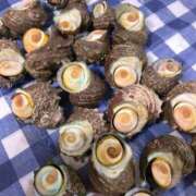 ヒメ日記 2025/07/08 10:15 投稿 りつこ 奥鉄オクテツ兵庫