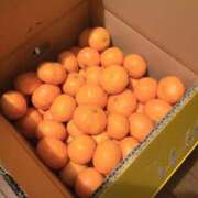 ヒメ日記 2025/12/01 12:55 投稿 りつこ 奥鉄オクテツ兵庫