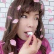 ヒメ日記 2026/03/12 14:55 投稿 りつこ 奥鉄オクテツ兵庫