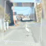 ヒメ日記 2025/03/15 10:46 投稿 鈴木和代 五十路マダム宇都宮店(カサブランカグループ)