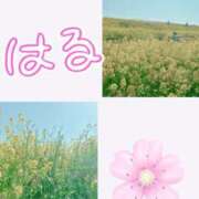 ヒメ日記 2025/03/27 19:22 投稿 鈴木和代 五十路マダム宇都宮店(カサブランカグループ)