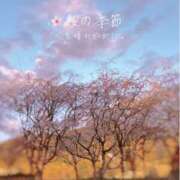 ヒメ日記 2025/04/04 19:28 投稿 鈴木和代 五十路マダム宇都宮店(カサブランカグループ)