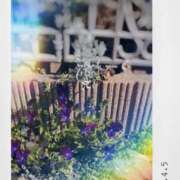 ヒメ日記 2025/04/05 10:20 投稿 鈴木和代 五十路マダム宇都宮店(カサブランカグループ)