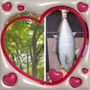 ヒメ日記 2025/04/26 11:46 投稿 鈴木和代 五十路マダム宇都宮店(カサブランカグループ)