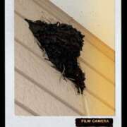 ヒメ日記 2025/05/17 08:48 投稿 鈴木和代 五十路マダム宇都宮店(カサブランカグループ)