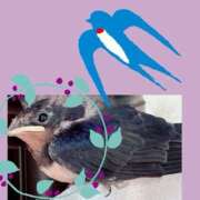 ヒメ日記 2025/06/21 22:44 投稿 鈴木和代 五十路マダム宇都宮店(カサブランカグループ)