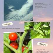 ヒメ日記 2025/06/28 10:46 投稿 鈴木和代 五十路マダム宇都宮店(カサブランカグループ)