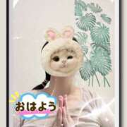 ヒメ日記 2025/10/04 10:20 投稿 鈴木和代 五十路マダム宇都宮店(カサブランカグループ)