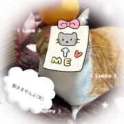 ヒメ日記 2025/11/25 20:00 投稿 鈴木和代 五十路マダム宇都宮店(カサブランカグループ)