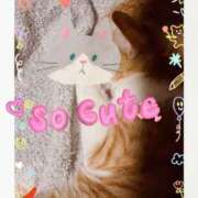 ヒメ日記 2026/04/16 23:18 投稿 鈴木和代 五十路マダム宇都宮店(カサブランカグループ)