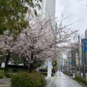 ヒメ日記 2026/04/17 21:22 投稿 鈴木和代 五十路マダム宇都宮店(カサブランカグループ)