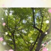 ヒメ日記 2026/04/18 10:36 投稿 鈴木和代 五十路マダム宇都宮店(カサブランカグループ)