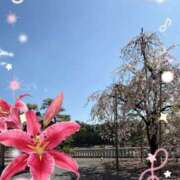 ヒメ日記 2026/05/04 13:18 投稿 鈴木和代 五十路マダム宇都宮店(カサブランカグループ)