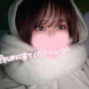 ヒメ日記 2025/12/09 15:17 投稿 さくら ぽっちゃり巨乳専門店 町田相模原ちゃんこ