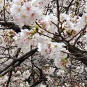 ヒメ日記 2026/03/28 17:06 投稿 あやか 熟女の風俗最終章 八王子店