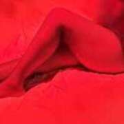 ヒメ日記 2025/08/30 23:27 投稿 いぶき clubさくら難波店