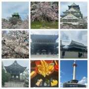 ヒメ日記 2026/04/05 20:27 投稿 いぶき clubさくら難波店