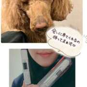 ヒメ日記 2025/04/11 22:07 投稿 この clubさくら難波店