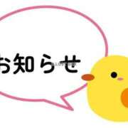 ヒメ日記 2025/09/14 20:27 投稿 この clubさくら難波店
