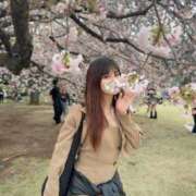 ヒメ日記 2026/04/07 13:24 投稿 ひいろ【えっちが楽しすぎて】 STELLA TOKYO－ステラトウキョウ－