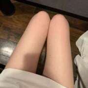 ヒメ日記 2025/09/29 16:32 投稿 はな カルテ