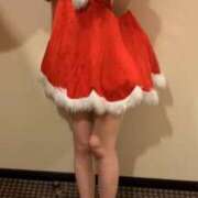 ヒメ日記 2025/12/24 14:29 投稿 はな カルテ